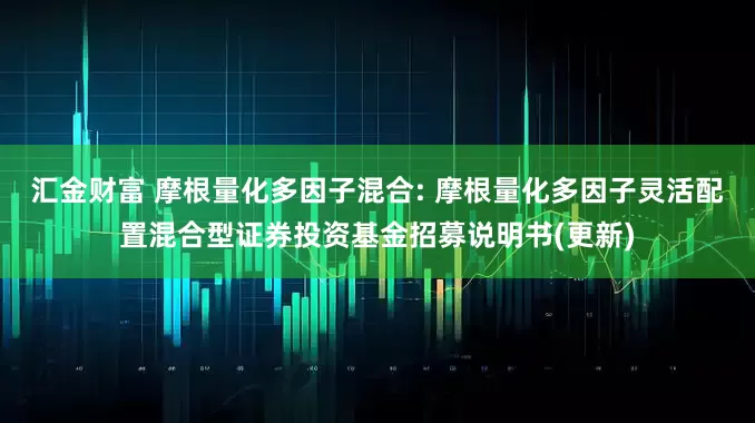 汇金财富 摩根量化多因子混合: 摩根量化多因子灵活配置混合型证券投资基金招募说明书(更新)