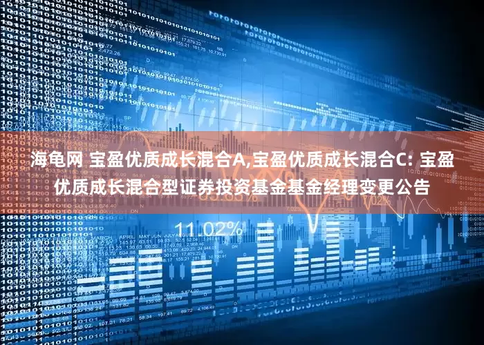 海龟网 宝盈优质成长混合A,宝盈优质成长混合C: 宝盈优质成长混合型证券投资基金基金经理变更公告