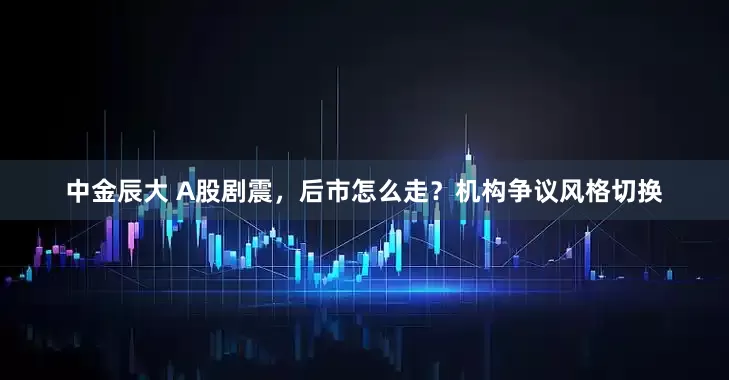 中金辰大 A股剧震，后市怎么走？机构争议风格切换
