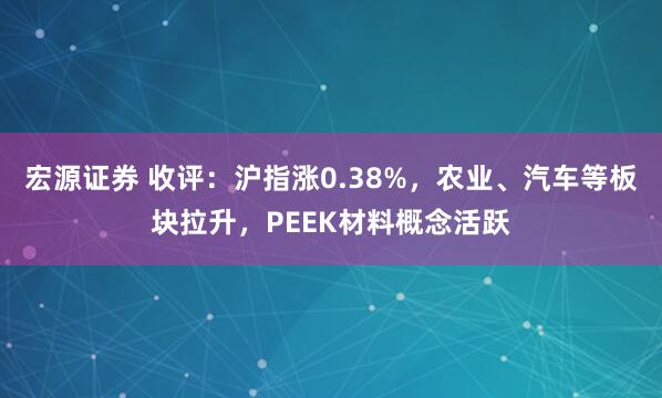 宏源证券 收评：沪指涨0.38%，农业、汽车等板块拉升，PEEK材料概念活跃