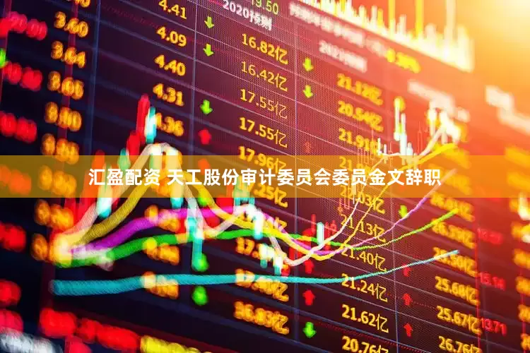 汇盈配资 天工股份审计委员会委员金文辞职