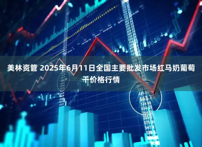 美林资管 2025年6月11日全国主要批发市场红马奶葡萄干价格行情