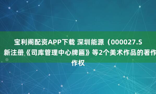 宝利阁配资APP下载 深圳能源(000027.SZ)新注册《司库管理中心牌匾》等2个美术作品的著作权