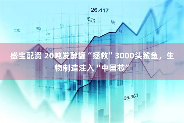 盛宝配资 20吨发酵罐“拯救”3000头鲨鱼，生物制造注入“中国芯”