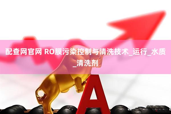 配查网官网 RO膜污染控制与清洗技术_运行_水质_清洗剂