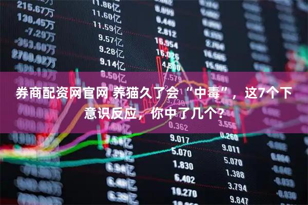 券商配资网官网 养猫久了会 “中毒”，这7个下意识反应，你中了几个？